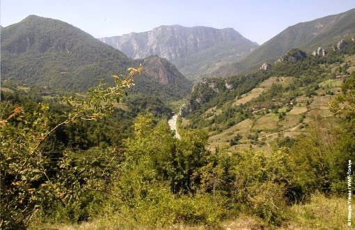State Council Blocks Hydroelectric Plant Construction in Küre Mountains 