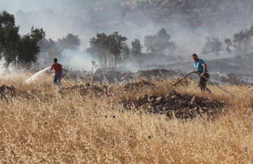 "Botan, Diyarbakır and Dersim Forests are Evidently on Fire 