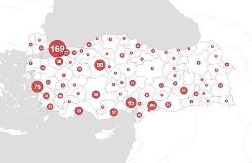 Who, Where, How: Femicide Map of Five Years