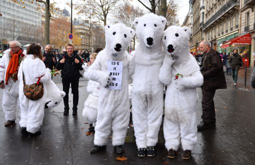WWF: Paris'te Anlaşma Çıktı Ama Türkiye Yol Ayrımında