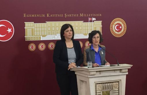 HDP Meclis’i Çocuk İstismarını Önleyici Bir Sistem Oluşturmaya Çağırdı