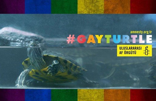 Af Örgütü'nden Eşcinsel Kaplumbağanın Maceraları
