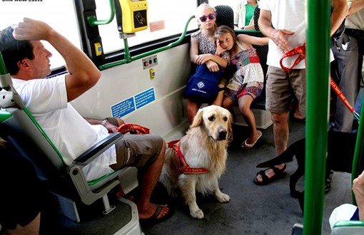 "Saldırılara Karşı Hayvanlarla Metrobüse Biniyoruz!"