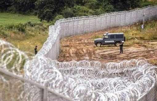 Sınırdaki Duvar Yaban Hayatı Tehdit Ediyor