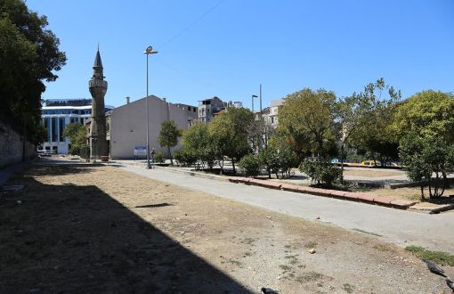 Beyoğlu Belediyesi Parka Fare Zehri Döktü, Kaç Köpek Öldü Bilinmiyor