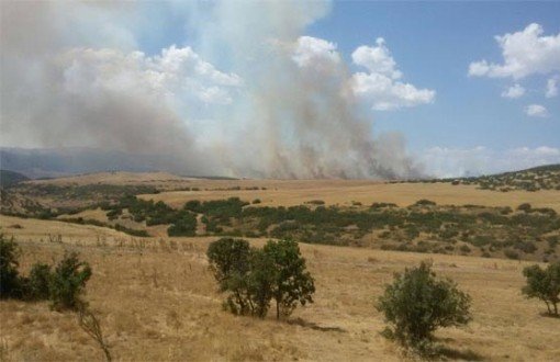 Criminal Complaint Filed Over Forest Fires in Dersim