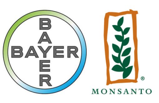  Bayer'in GDO'lu Tohum Üreten Monsanto'yu Almasının Anlamı