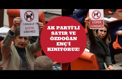 Animal Rights Organization Urges AKP’s 2 MPs to Apologize to All Animals