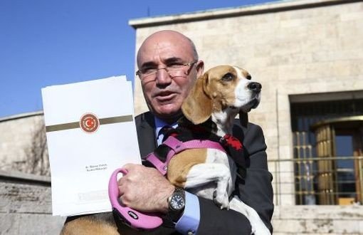 Mahmut Tanalî li parlamentoyê digel kûçikê xwe daxuyanî da