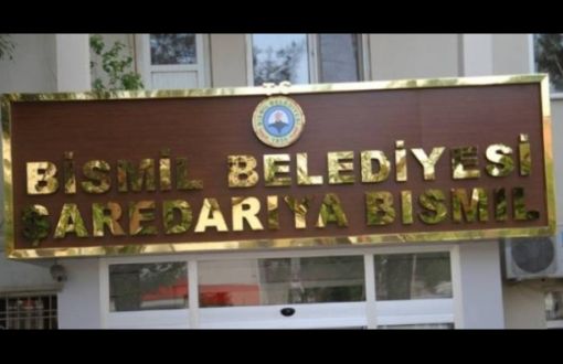 Trustee Appointed to Bismil Municipality