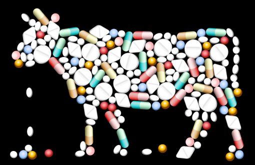 Gıdalardaki Antibiyotik: Sorular ve Sorunlar