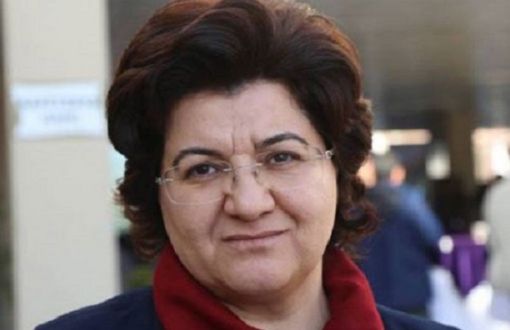 DBP Former Co-Chair Emine Ayna Detained