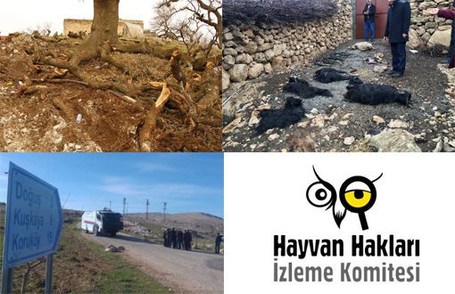 HAKİM'e Devletten Kuruköy Cevabı: "Hiçbir İnsan veya Hayvan Zarar Görmedi"