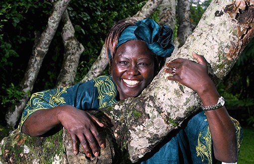 Bayan Değil Kadındılar: Wangari Maathai