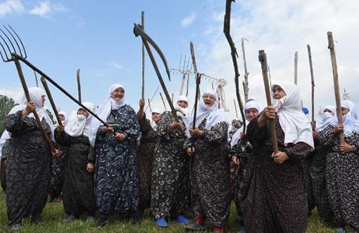 Women Protest Construction in Their Meadow with Scythes, Rakes