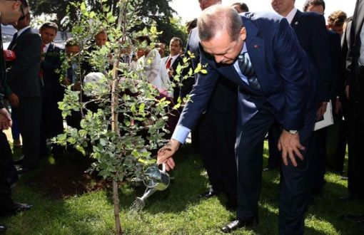 Erdoğan: Çevre Sorunlarına Karşı Öncü Rol Üstleniyoruz