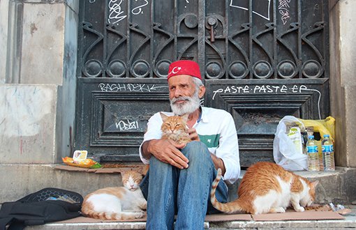 “Kedilerin Babası" Süleyman Akova Anlatıyor