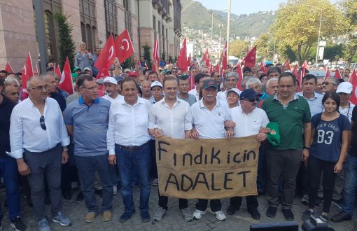 'Justice for Hazelnut' March Starts from Province of Ordu