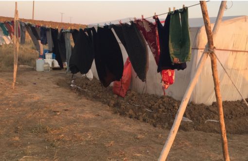 Report by HDP on Seasonal Agricultural Workers