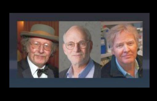 Vücut Ritmi Üzerine Çalışan Üç Bilim İnsanına Nobel Tıp Ödülü