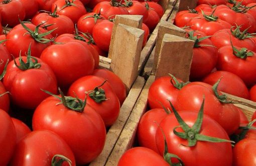 Russia to Import Tomato from Turkey in 2018