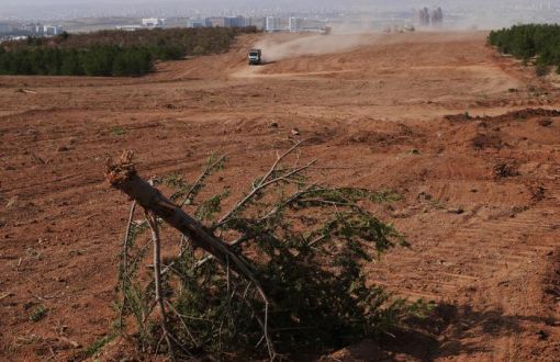 Criminal Complaint Against Ankara Mayor Over Destroying METU Forest For Road Construction