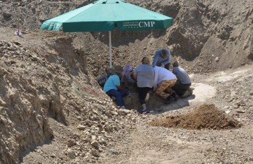 Kıbrıs Kayıplarını Arıyor: Kayıp Kıbrıslı Rumların Gömü Alanında Kazı Yapılıyor