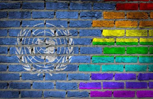 BM Cinsel Yönelim ve Cinsiyet Kimliği Bağımsız Uzman Raporu Türkçede