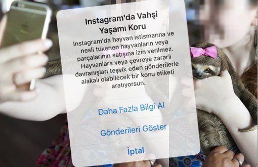 Instagram, Kullanıcılarını Vahşi Yaşam Selfielerine Karşı Uyarıyor