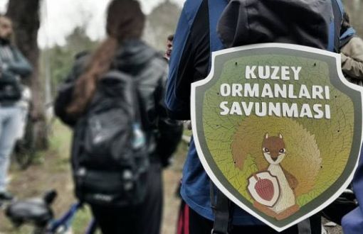 Northern Forests Defense: Squirrel of Fatih Forest Wins