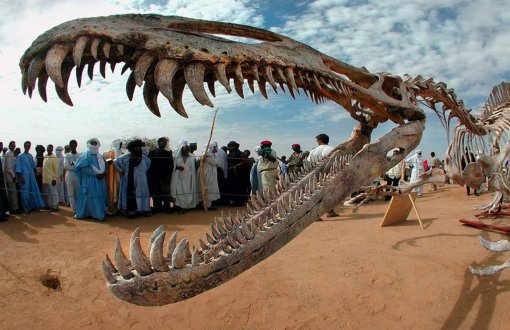 Dinozorların Milyonlarca Yıllık Yolculukları Zenginlerin Salonunda Son Buluyor