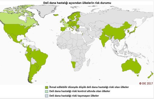 Etlerde Sadece Deli Dana Hastalığı mı Sorun Oluşturuyor? 