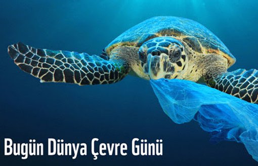 WWF Türkiye'den Çağrı: Bir Güzel Hareket de Siz Yapın 