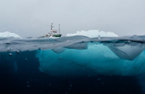 Plastik Kirliliği Antarktika'ya Kadar Ulaştı