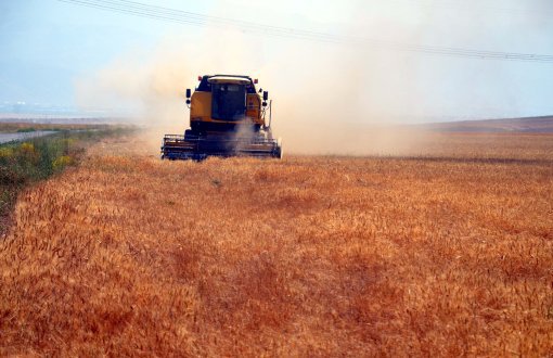 Türkiye “Tahıl Ambarı” ama Buğday İthal Ediyor