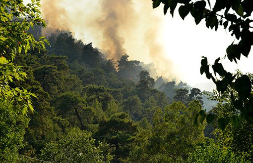 Türkiye'de 8 Günde 100 Orman Yangını Çıktı