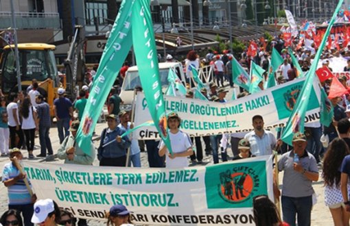 Türkiye BM Köylü Hakları Beyannamesi'ni İmzalamalı