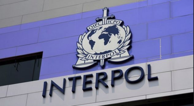 Türkiye Almanya'ya 797 Günde Interpol Aracılığıyla 848 Kez Başvurdu 