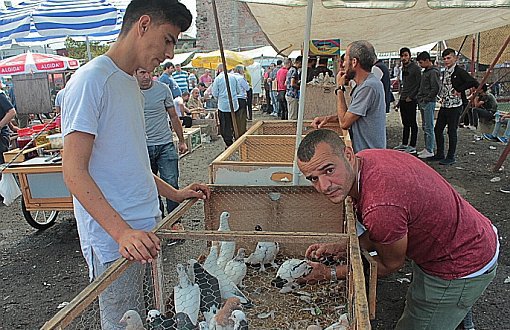 Özgürlüğe Bağlanan İp: Edirnekapı Kuş Pazarı 