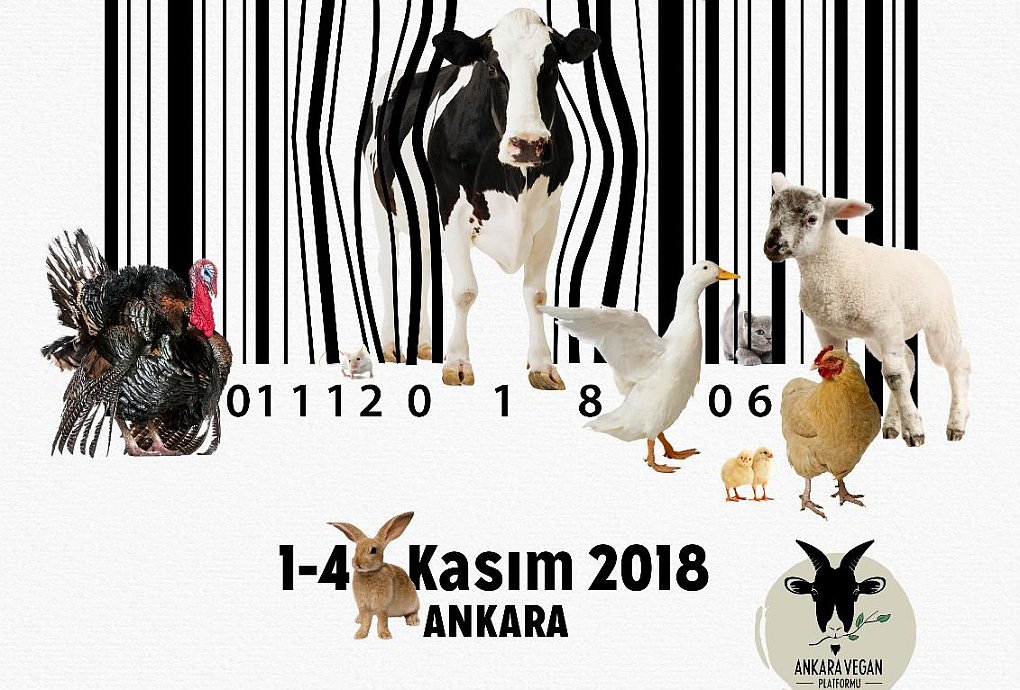 1 Kasım Dünya Vegan Günü Ankara'da Kutlanacak
