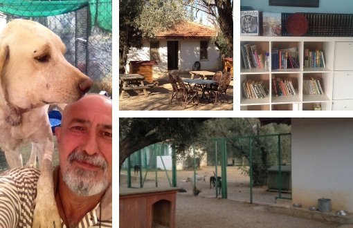 Datça Barınak Kütüphanesi Kitapseverlerden Destek Bekliyor
