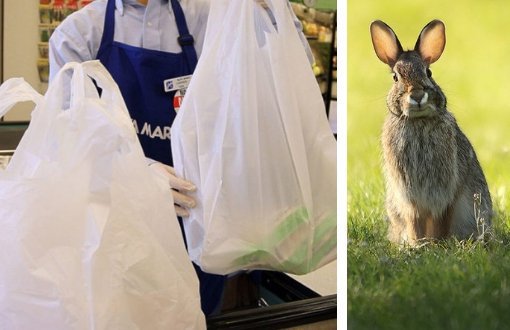 Charge on Plastic Bags, Articles Making Wildlife Difficult in Same Omnibus Law