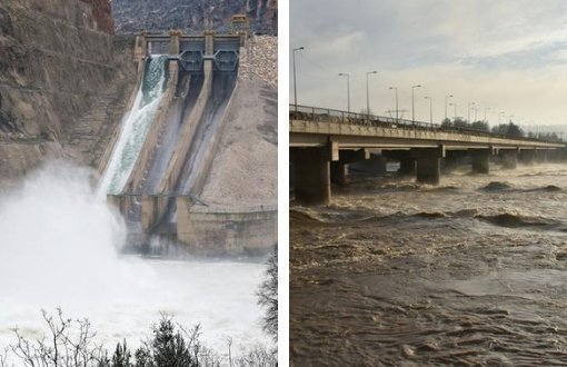 Overflow of Tigris Dam on Parliamentary Agenda: Will Measures Be Taken for Hevsel Gardens? 