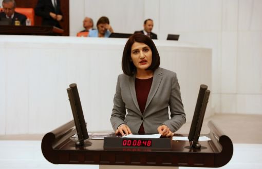 17 Dilli Sağlık Kartında Kürtçenin Yer Almaması Meclis'e Taşındı