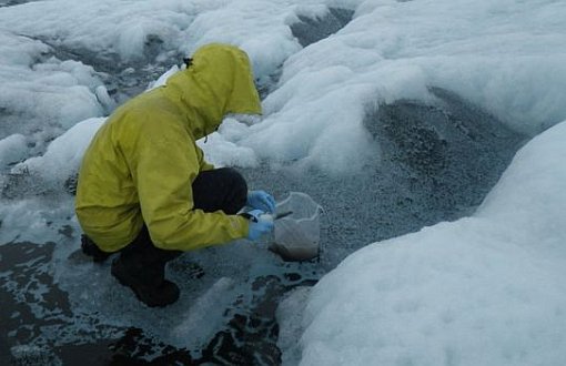 İklim Değişikliği: Grönland'daki Buzullar Kışın Bile Eriyor