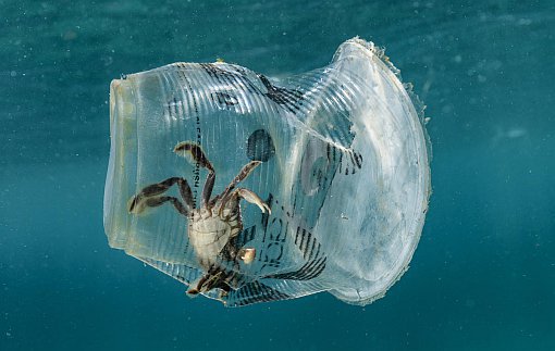 Plastik Atıkların Yeni Adresi Türkiye: İthalat Beşe Katlandı