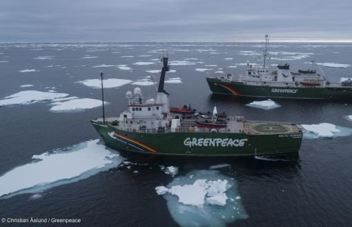 Greenpeace “Okyanuslarımızı Koru” Kampanyası Başlattı
