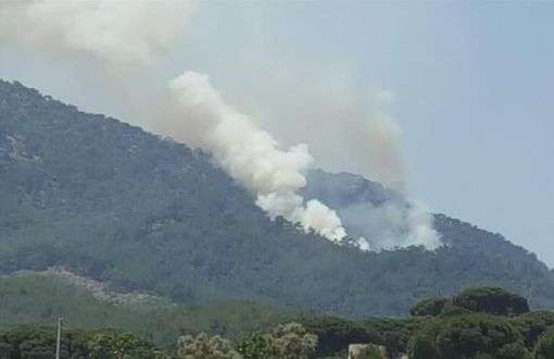 Wildfire Breaks Out in Muğla
