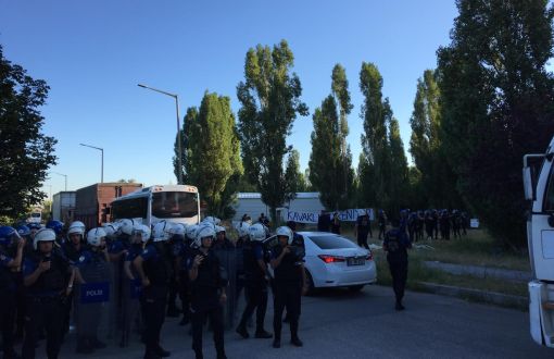 ODTÜ’de Polis Öğrencileri Dağıttı, Rektörlük: 750 Ağaç Kesilecek 