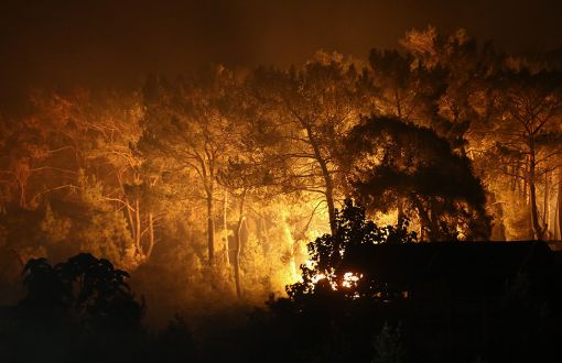 Şimdi de Milas'ta Orman Yangını 
